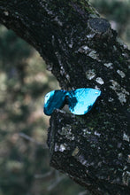 Cargar imagen en el visor de la galería, Phantom Regular Deck